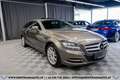 Mercedes-Benz CLS 250 CDI Shooting Brake Aut.*SCHIEBEDACH*AHK*SHZ* Grau - thumbnail 4