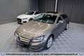 Mercedes-Benz CLS 250 CDI Shooting Brake Aut.*SCHIEBEDACH*AHK*SHZ* Grau - thumbnail 2