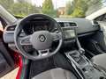 Renault Kadjar Experience mit 8 Fach Bereifung Rot - thumbnail 16