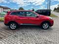Renault Kadjar Experience mit 8 Fach Bereifung Rot - thumbnail 6