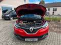 Renault Kadjar Experience mit 8 Fach Bereifung Rot - thumbnail 14