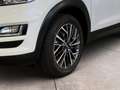 Hyundai TUCSON 1.6 crdi Exellence 2wd 115cv Bianco - thumbnail 15