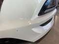 Hyundai TUCSON 1.6 crdi Exellence 2wd 115cv Bianco - thumbnail 28