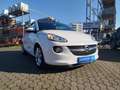 Opel Adam Open Air ecoFlex 1.4 *SHZ*PDC*Tempo*LRH* Weiß - thumbnail 2