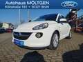 Opel Adam Open Air ecoFlex 1.4 *SHZ*PDC*Tempo*LRH* Weiß - thumbnail 1