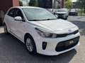 Kia Rio 1.2 CVVT DynamicLine // NAVI // AIRCO // CAMERA // Blanc - thumbnail 3