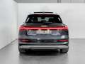 Audi e-tron 95kWh 55 Quattro 408pk / PANO / LUCHTVERING / CARPLAY / CAMERA / KEYLESS Grigio - thumbnail 6