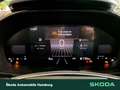 Skoda Fabia Selection 1,0 MPI 5-Gang-Schaltgetriebe Grau - thumbnail 12