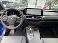 Lexus UX 300e UX 300h F Sport Design Blue - thumbnail 10