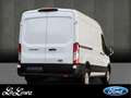 Ford Transit Kastenwagen Trend 350L2H2 Blanco - thumbnail 2