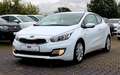 Kia ProCeed / pro_cee'd / ProCeed 1.6 GDI/SHEFT/KLIMA/SHZ/PDC/ Weiß - thumbnail 2