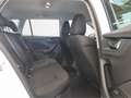 Skoda Kamiq Ambition 1.0 TSI LED  DAB SHZ Temp PDC Weiß - thumbnail 8