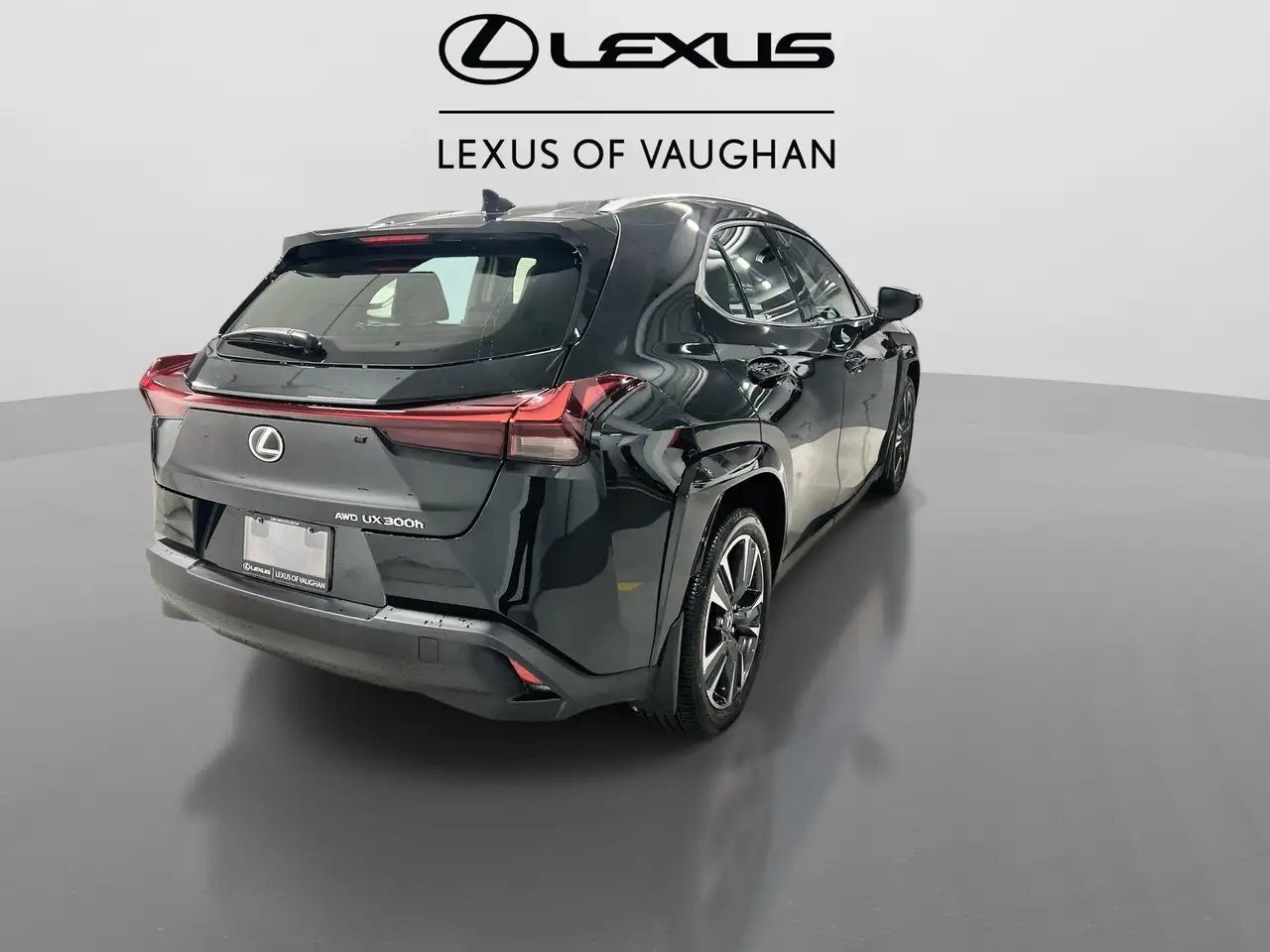 Lexus UX 300h снимка Lexus UX 300h