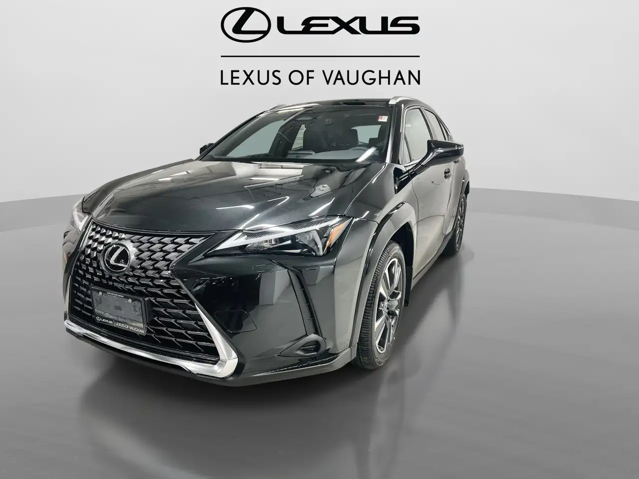 Lexus UX 300h снимка Lexus UX 300h