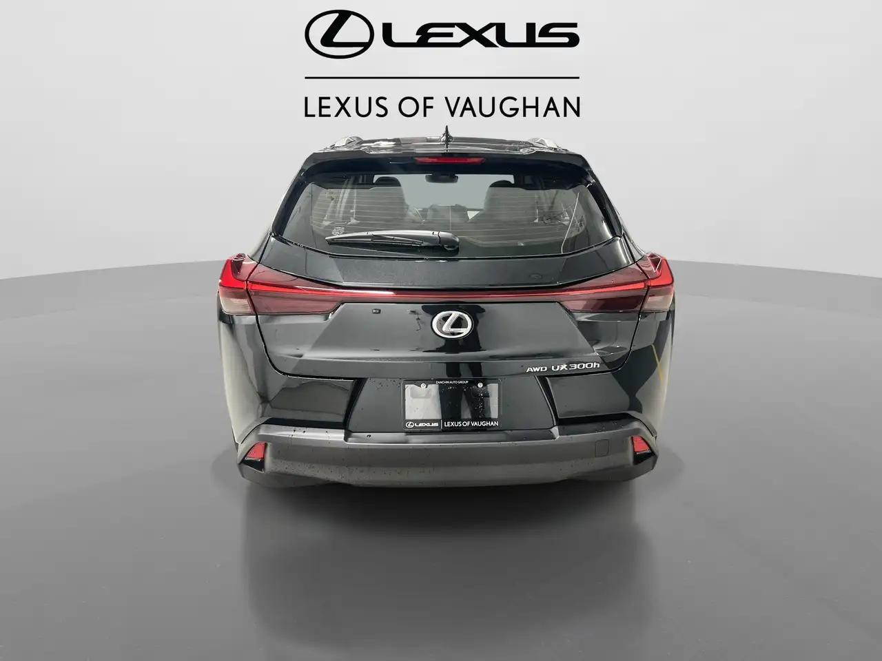 Lexus UX 300h снимка Lexus UX 300h