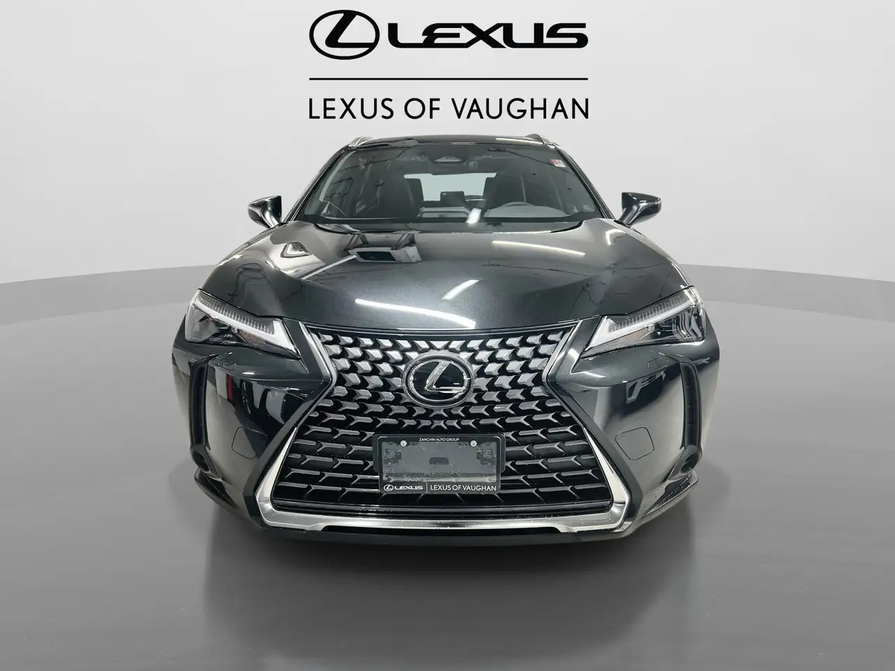 Lexus UX 300h снимка Lexus UX 300h