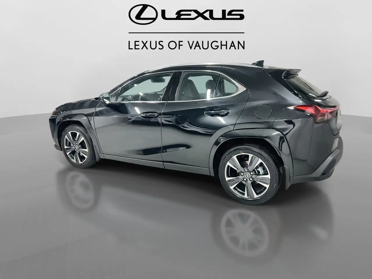 Lexus UX 300h снимка Lexus UX 300h