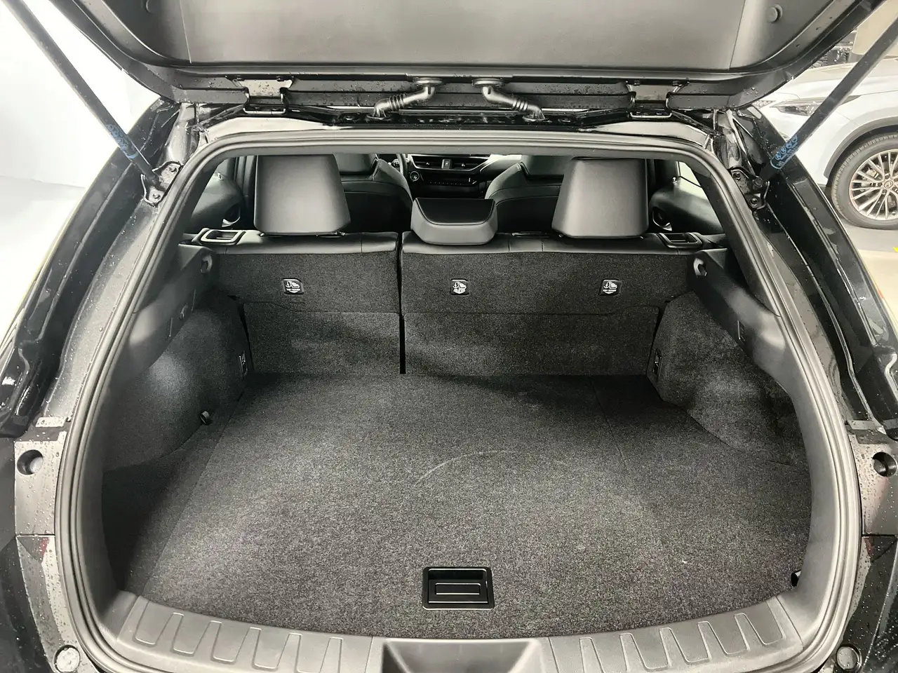 Lexus UX 300h снимка Lexus UX 300h