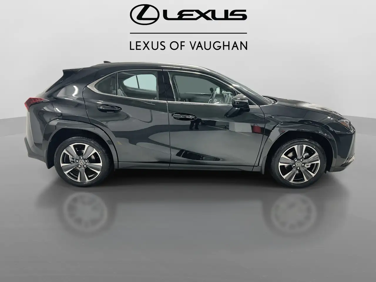 Lexus UX 300h снимка Lexus UX 300h