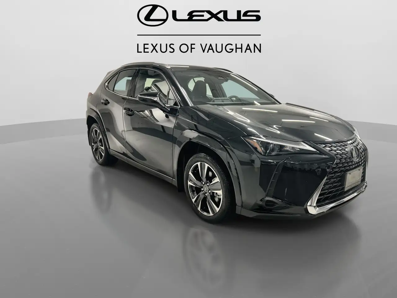 Lexus UX 300h снимка Lexus UX 300h