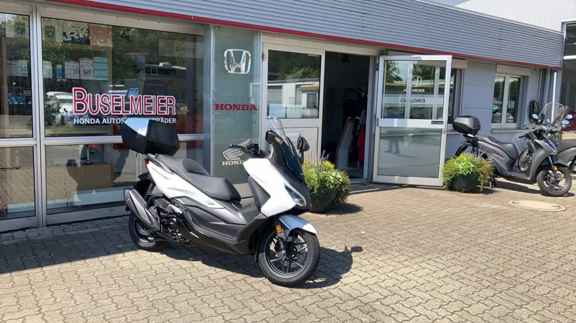 Honda Forza 350 2025 Biały - 2