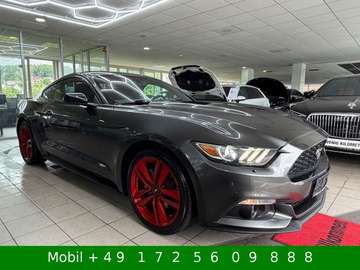 Fastback Since 1964 Kamera