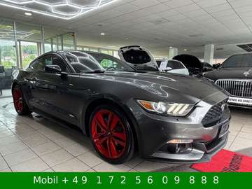 Fastback Since 1964 Kamera