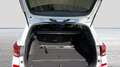 Hyundai i30 Kombi - PD GO Plus 1.0 T-GDI inkl. Toter-Winkel-Assistent un Weiß - thumbnail 11