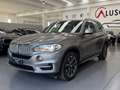BMW X5 X5 xDrive25d Luxury Grey - thumbnail 3