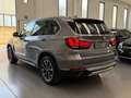 BMW X5 X5 xDrive25d Luxury Grey - thumbnail 6