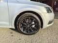 Skoda Octavia Octavia Combi 2,0 Ambition TDI 4x4 Ambition Silber - thumbnail 5