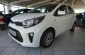 Kia Picanto PICANTO 1,0 DREAM TEAM SHZ LM BLUETOOTH KLIMA Blanc - thumbnail 14