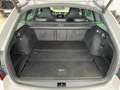 Skoda Octavia RS 2.0 TFSI DSG AHK ACC Navi LED Pano Ka Grau - thumbnail 7