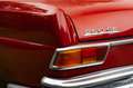 Mercedes-Benz 250 SE W11 Rojo - thumbnail 29