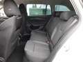 Skoda Octavia Combi 2,0 TDI DSG *LED MIT FLA & DYN BLINKER / 17 ZOLL / VIRTUELL / NAVI / SPORT MASSAGESITZ* Weiß - thumbnail 13