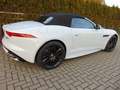 Jaguar F-Type *V8*R*AWD*CABRIO*UPE:144605¤*9450km*DAB* Weiß - thumbnail 11