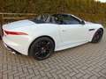 Jaguar F-Type *V8*R*AWD*CABRIO*UPE:144605¤*9450km*DAB* Blanc - thumbnail 8
