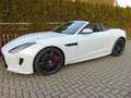 Jaguar F-Type *V8*R*AWD*CABRIO*UPE:144605¤*9450km*DAB* Blanc - thumbnail 4