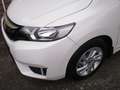 Honda Jazz Jazz 1,3i-VTEC Comfort CVT Comfort Weiß - thumbnail 13
