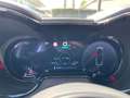 Alfa Romeo Tonale Tonale 1.5 160 CV MHEV TCT7 Veloce Grigio - thumbnail 15