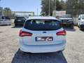 Ford Focus Focus 1.5 ecoblue Business Co-pilot s Bianco - thumbnail 8
