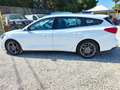 Ford Focus Focus 1.5 ecoblue Business Co-pilot s Bianco - thumbnail 6