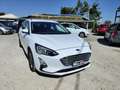 Ford Focus Focus 1.5 ecoblue Business Co-pilot s Bianco - thumbnail 3