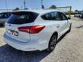Ford Focus Focus 1.5 ecoblue Business Co-pilot s Bianco - thumbnail 9