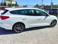 Ford Focus Focus 1.5 ecoblue Business Co-pilot s Bianco - thumbnail 10