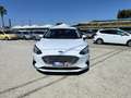 Ford Focus Focus 1.5 ecoblue Business Co-pilot s Bianco - thumbnail 4