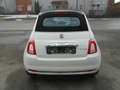 Fiat 500C Dolcevita Klima Tempom. Teilleder ORIGINAL14609km Weiß - thumbnail 6