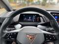 CUPRA Born 77/82 e-Boost 170kW/231PS Rot - thumbnail 13