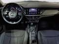Skoda Kamiq 1.0 tsi scoutline 110cv Gris - thumbnail 6