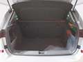 Skoda Kamiq 1.0 tsi scoutline 110cv Gris - thumbnail 10